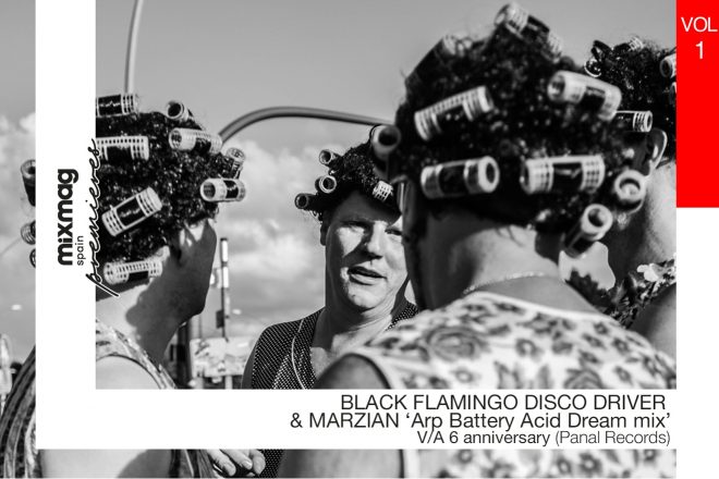 PREMIERE: Black Flamingo Disco Driver & Marzian - Arp Battery (Acid Dream Mix) [Panal Records]